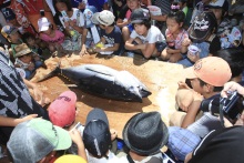㈱宮崎活魚センターのブログ
